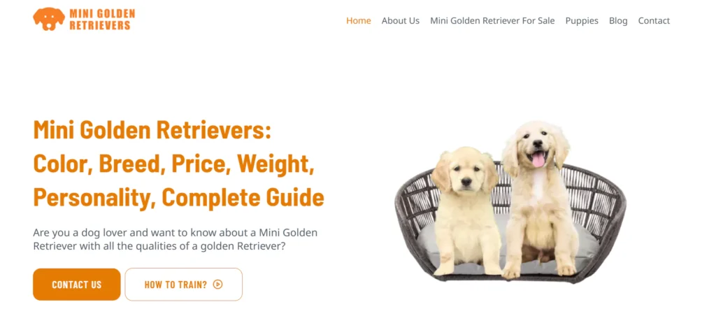 Mini Golden Retrievers